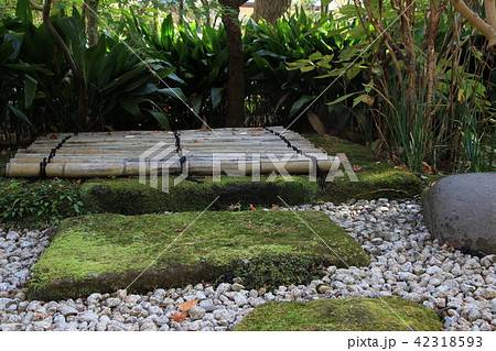 秋の鎌倉　竹林報国寺 42318593