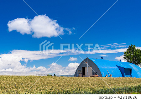 《北海道》美瑛・田園風景と夏空 42318626