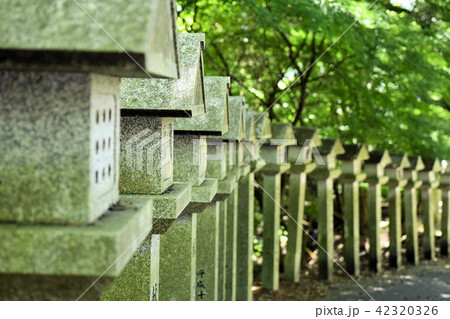 岩間寺 岩間寺 42320326