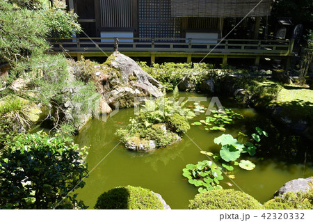 岩間寺 岩間寺 42320332