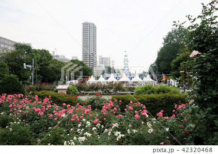札幌 大通公園の夏まつり風景 サンクガーデンとビアガーデン の写真素材