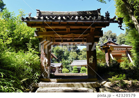 近津尾神社 近津尾神社 42320579