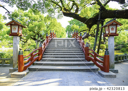 太宰府天満宮 太鼓橋 太宰府天満宮 太鼓橋 42320813