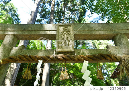 猿丸神社 42320996