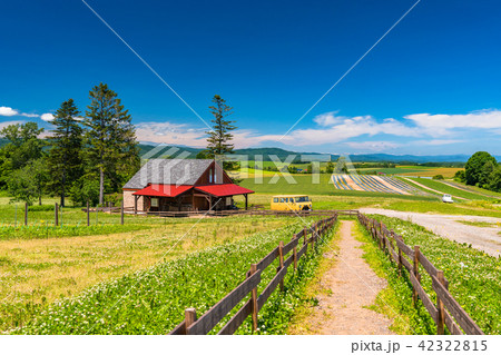 《北海道》美瑛・メルヘンチックな丘 42322815
