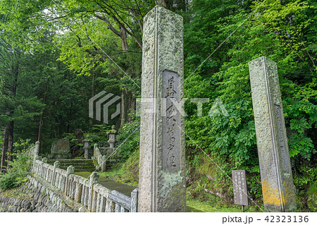 貞祥寺3085 貞祥寺3085 42323136