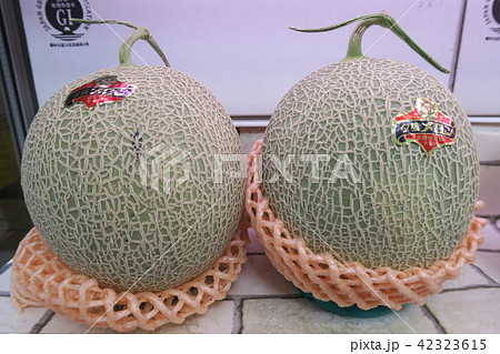 メロン メロン 42323615