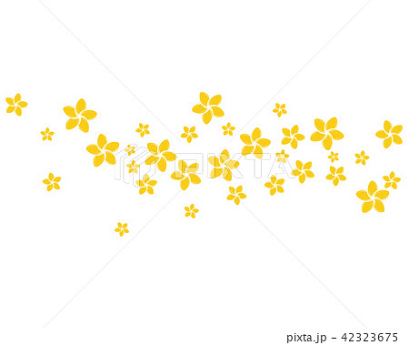 Beauty plumeria flowers design illustration Beauty plumeria flowers design illustration 42323675