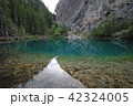 グラッシーレイク 42324005