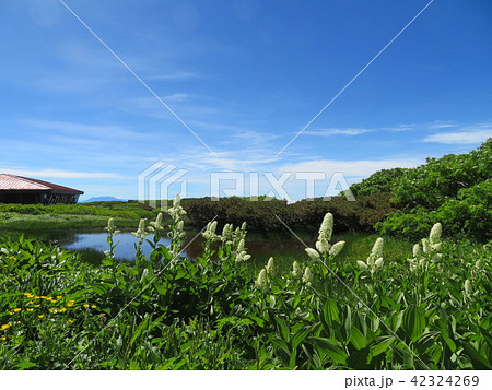 白山室堂 白山室堂 42324269