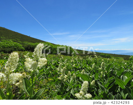 白山室堂 白山室堂 42324293