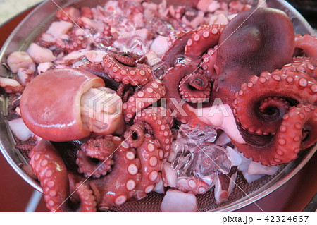 タコ・たこ 42324667