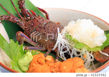 贅沢な伊勢海老ウニ丼 42325562