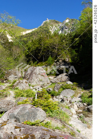 オベリスク ドンドコ沢登山道より オベリスク ドンドコ沢登山道より 42326026