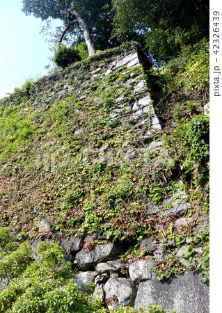 名城「松坂城跡」 42326439