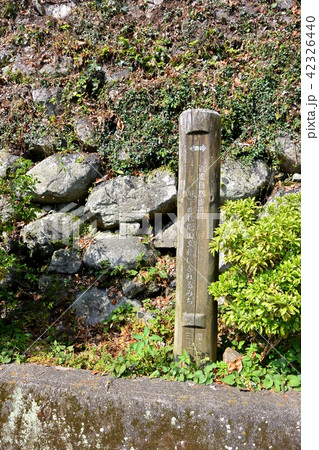 名城「松坂城跡」 名城「松坂城跡」 42326440