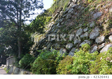 名城「松坂城跡」 名城「松坂城跡」 42326441
