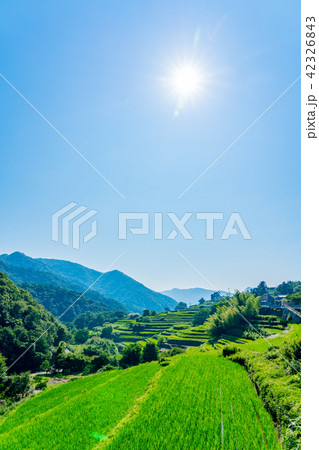 【香川県】中山千枚田 42326843