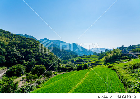 【香川県】中山千枚田 【香川県】中山千枚田 42326845