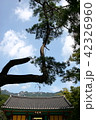 節 桐華寺 八公山 42326960