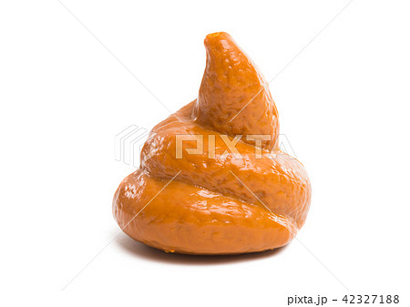 feces isolated 42327188