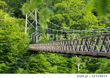 栃木県那須塩原市 七ツ岩吊橋 6月 の写真素材