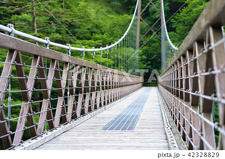 栃木県那須塩原市　七ツ岩吊橋（6月） 42328829
