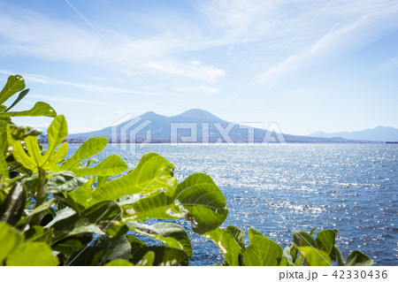 View of the bay and Vesuvius Volcano View of the bay and Vesuvius Volcano 42330436