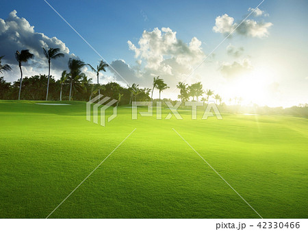 spring grass, golf field 42330466