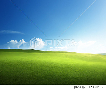 spring grass, golf field 42330467
