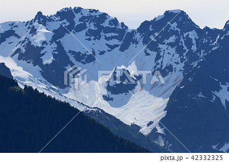 アラスカ氷河クルーズからの景色(雪山) アラスカ氷河クルーズからの景色(雪山) 42332325