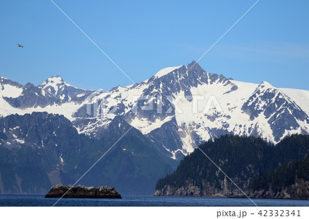 アラスカ氷河クルーズからの景色 アラスカ氷河クルーズからの景色 42332341