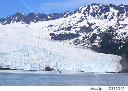 アラスカ氷河クルーズからの景色 アラスカ氷河クルーズからの景色 42332345