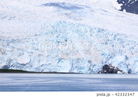 アラスカ氷河クルーズからの景色（岩場のカモメ） 42332347