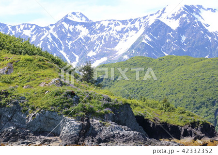 アラスカ氷河クルーズからの景色 アラスカ氷河クルーズからの景色 42332352