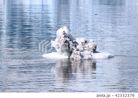 アラスカ氷河クルーズからの景色(氷河の氷) アラスカ氷河クルーズからの景色(氷河の氷) 42332376