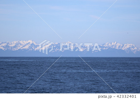 アラスカ氷河クルーズからの景色(岩場のカモメ) アラスカ氷河クルーズからの景色(岩場のカモメ) 42332401