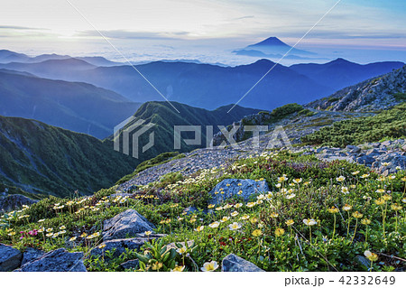 赤石岳山頂のチングルマ 42332649