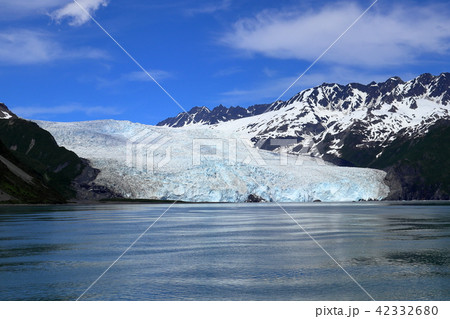 アラスカ氷河クルーズからの景色 アラスカ氷河クルーズからの景色 42332680