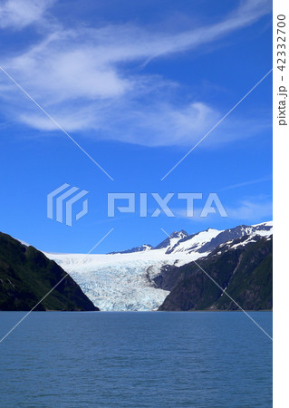 アラスカ氷河クルーズからの景色 42332700