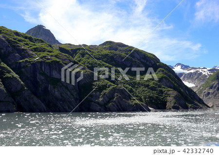 アラスカ氷河クルーズからの景色 アラスカ氷河クルーズからの景色 42332740