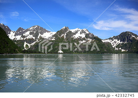 アラスカ氷河クルーズからの景色 アラスカ氷河クルーズからの景色 42332745