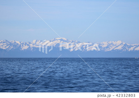 アラスカ氷河クルーズからの景色 42332803