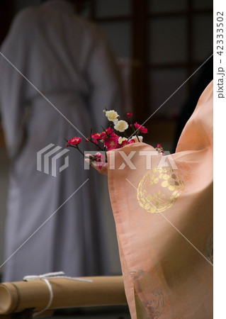 宮中の雅 42333502