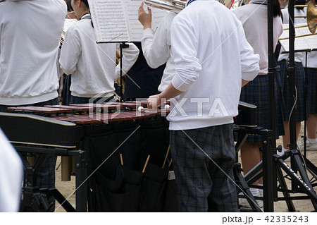 かわいいグラスバンド 42335243