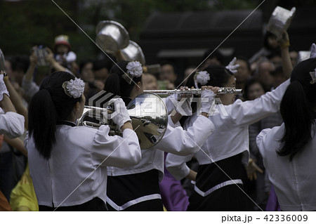 かわいいグラスバンド かわいいグラスバンド 42336009