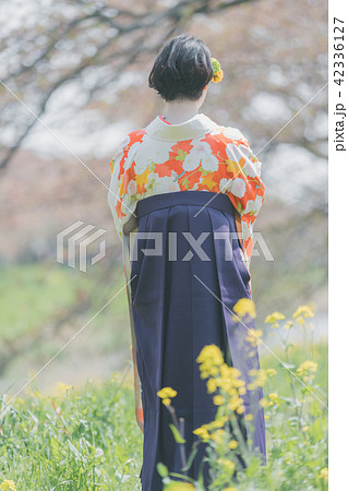 Sakura Sakura 42336127