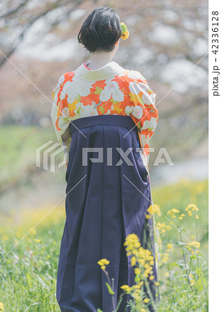 Sakura Sakura 42336128