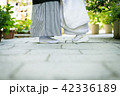 和婚1 42336189