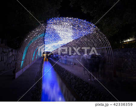 京の七夕 京の七夕 42336359